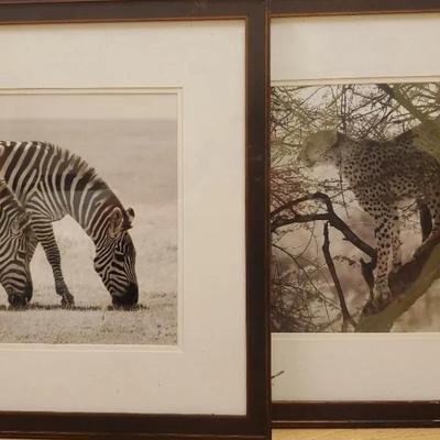 Leopard And Zebra Photo Prints