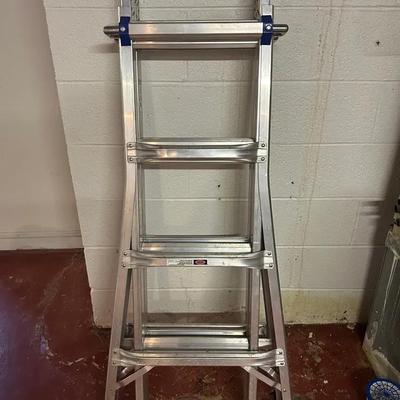 Werner 17’ Ladder