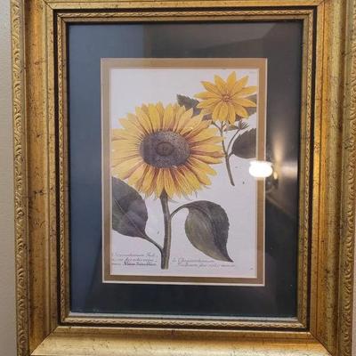 Framed Chrysanthemum Print 
