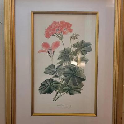 Ivy Geranium Gold Colored Frame Print
