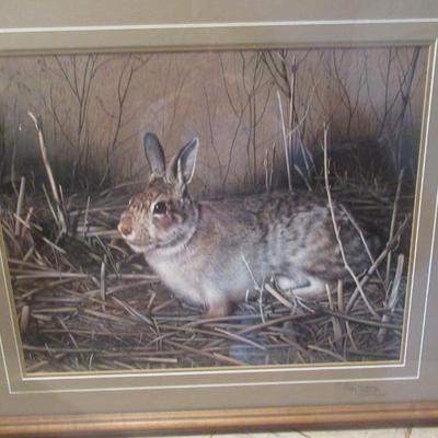 Sale Photo Thumbnail #214