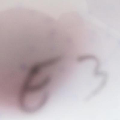 Sale Photo Thumbnail #92