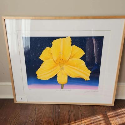 Floral De Las Estrellas By Jaime Arredondo
