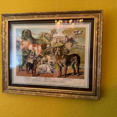 Sale Photo Thumbnail #44