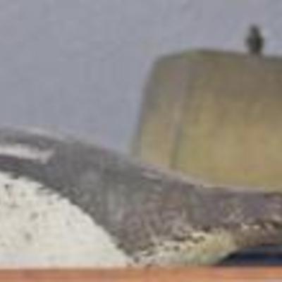 Sale Photo Thumbnail #30