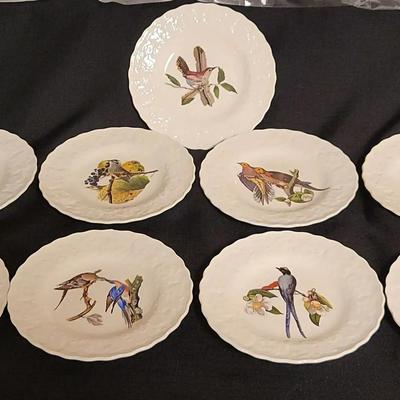 Alfred Meakin's Audubon "Birds of America" Plates (FHC)