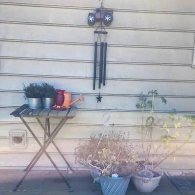 Outdoor Decor & Plants