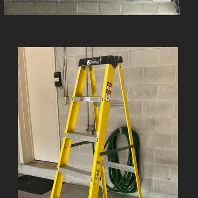 Extension Ladder and Davidson 6 Ft Ladder