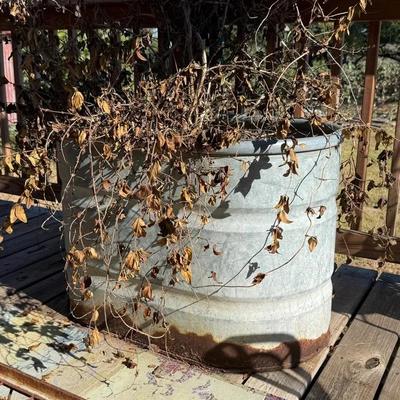 Galvanized Metal Water Trough Planter