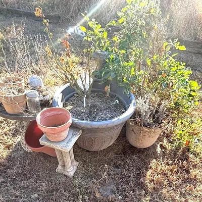 Assorted Pots (Terra Cotta & Plastic) & Concrete Ornaments, Bases