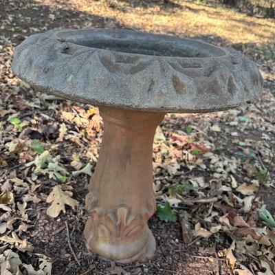 Another Bird Bath