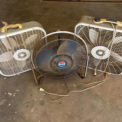 Fans