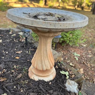 Bird Bath