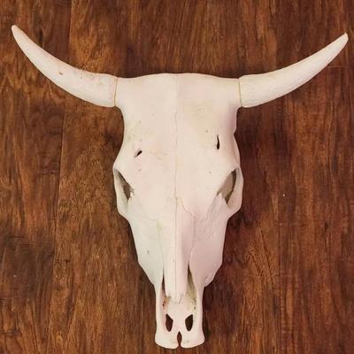 Bisque Cow Skull