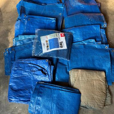 Tarps