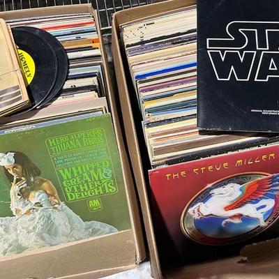 Record Album Mystery Lot
