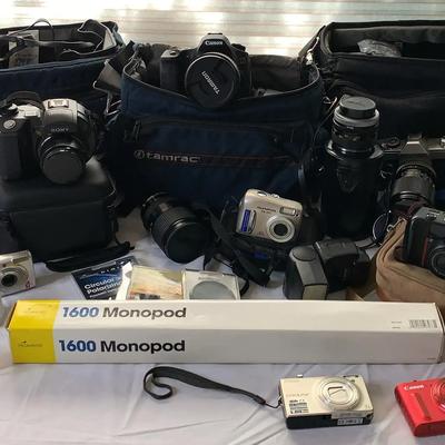 Say Cheese! Mystery Camera Lot