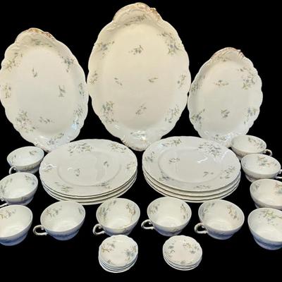 Haviland Limoges China