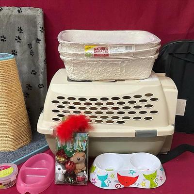 Cat Scratcher, Carrying Case, Hammock And More
