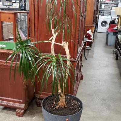 Sale Photo Thumbnail #46