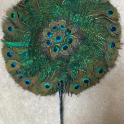 Peacock Feather Fan