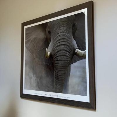 John Banovich Framed Print