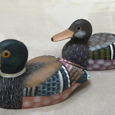 Decorative Ducks