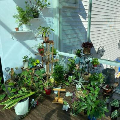 Sale Photo Thumbnail #50
