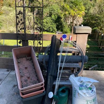 Landscaping Finds!