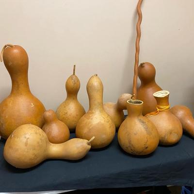A Gourd Lot
