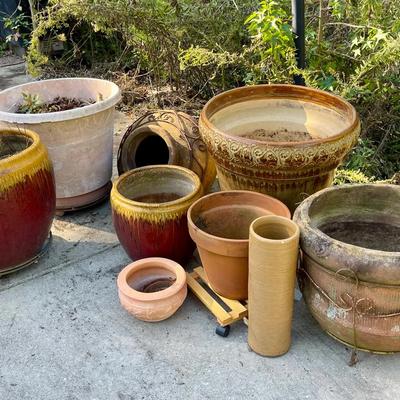 Gardening Galore #3