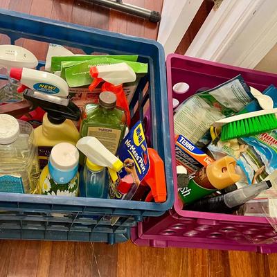 Cleaning Supply Lot #3