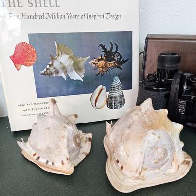 Sale Photo Thumbnail #192