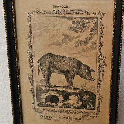 Sale Photo Thumbnail #40