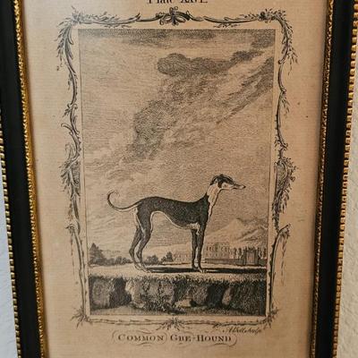 Sale Photo Thumbnail #41