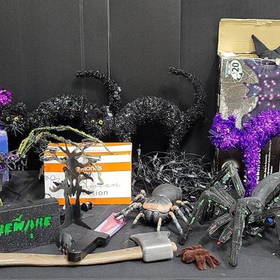 Bats, Cats, & Spiders (WH2)