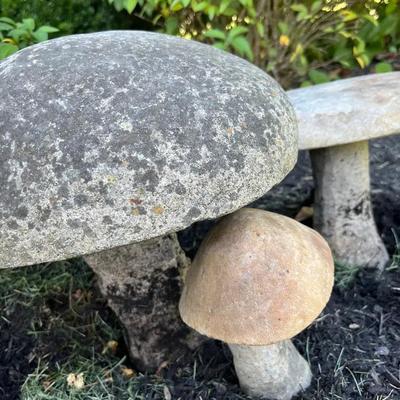 Stone Mushrooms