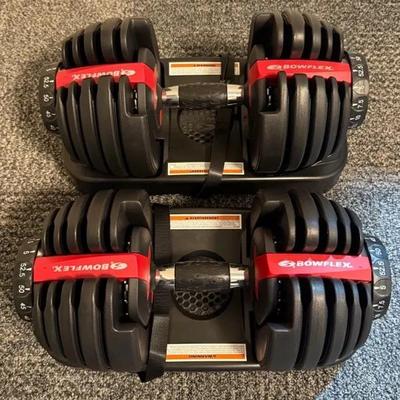 Bowflex SelectTech 552 Adjustable Dumbbells Weights