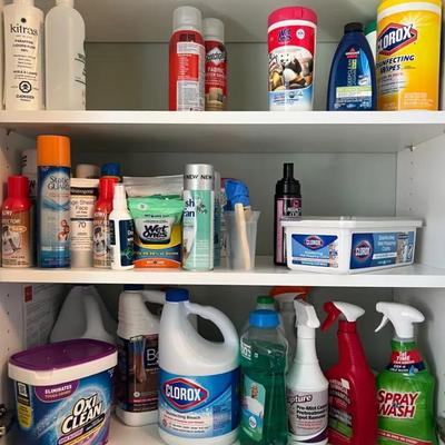 Cleaning and Laundry Supplies Cleanout