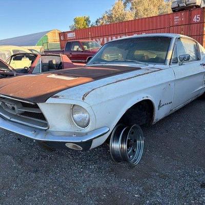 100 • 1967 ford fast back mustang
