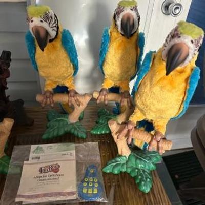 F050a06b 7a4d 42c8 a7ae ebee669cafa4 4 5005 c