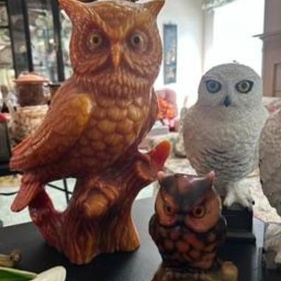 52481742 39db 4074 aaac f0e2cc14e049 4 5005 c