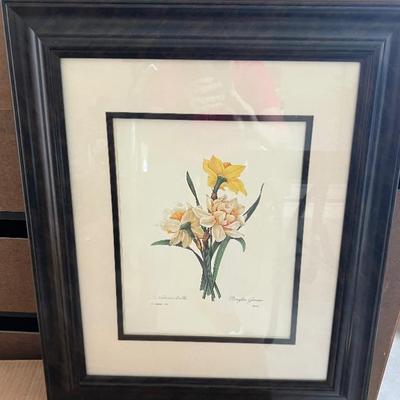 Framed Botanical Print