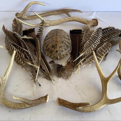 Two Pair Of Antler Sheds And 4 Singles Including 2 Axis, Turtle Shell, And Feathers