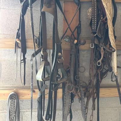 Horse Tack, Lot 4