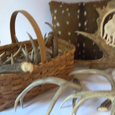 Beautiful Rustic Farm Decor  Antlers, Decorative Pillow From A Axis