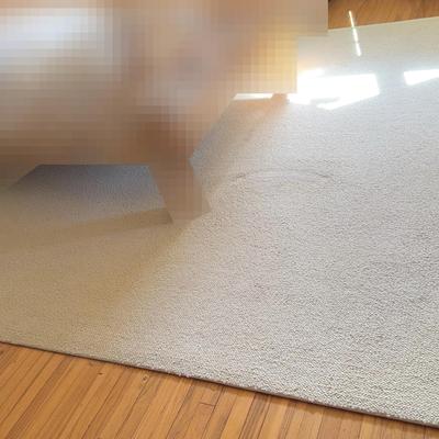 11 x 12 Ivory bubble rug comes with no-slip mat