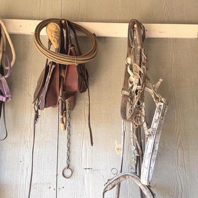 Horse Tack & leather saddle bags - Lot 1