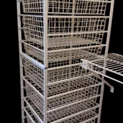 Closet Storage units - lot includes 2