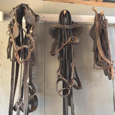 Horse Tack - Lot 2